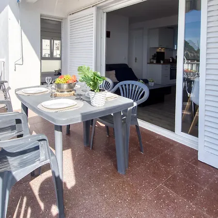 Blaumar By Interhome Roses